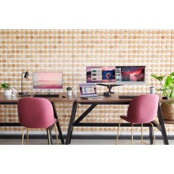HP EliteDisplay E243 24" IPS Monitor – Full HD, Zilver, Ergonomisch
