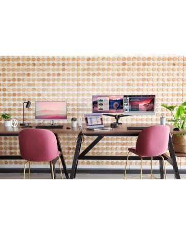 HP EliteDisplay E243 24" IPS Monitor – Full HD, Zilver, Ergonomisch